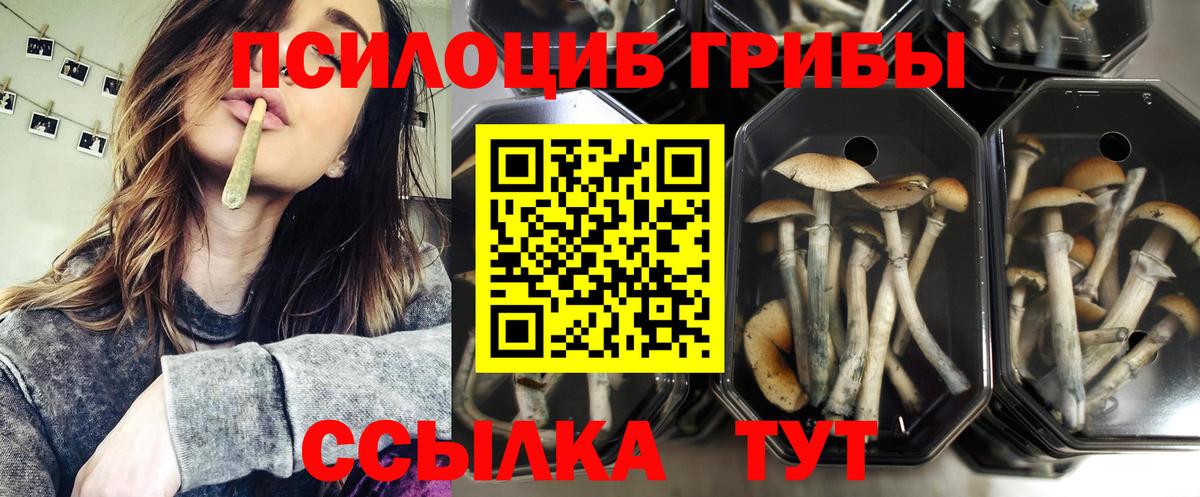 Галлюциногенные грибы Magic Shrooms  Вход с VPN  Зеленодольск 